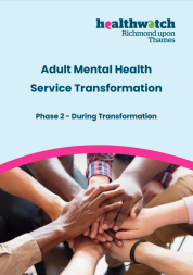 Image of the cover of the AMH transformation report